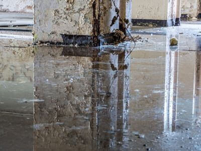 About EcoVital Team - water damage restoration experts in Tyler