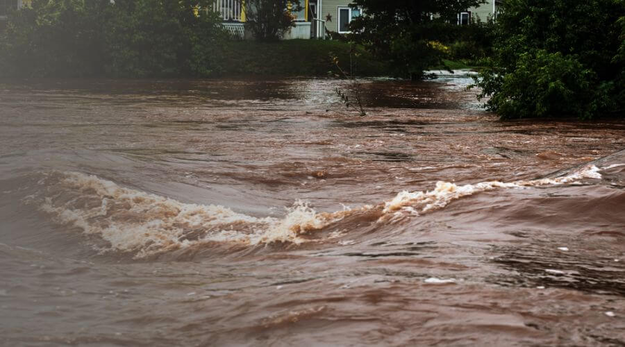 Why choose EcoVital Team for water damage restoration in Tyler